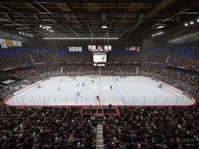 Texas Stars at Chicago Wolves