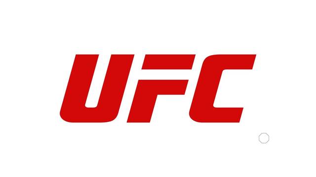 UFC 334