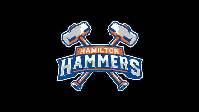 Hamilton Hammers vs. Hartford Wolf Pack