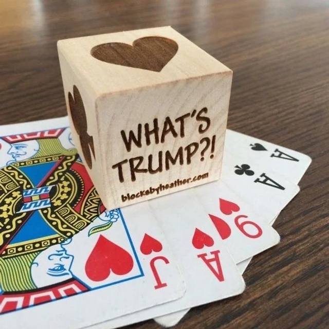 Cape Coral Euchre Tournament