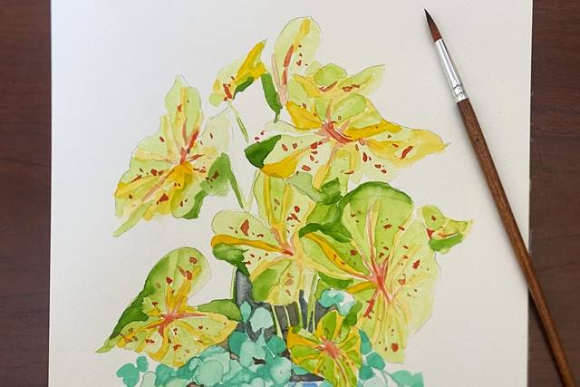 Tropical Plants: Watercolor Workshop