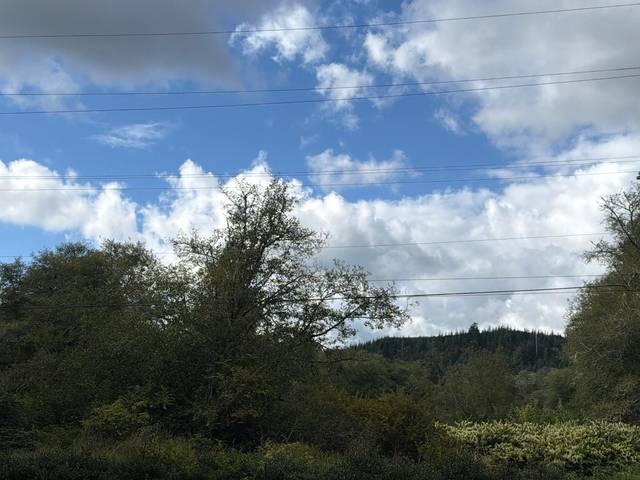 Grays Harbor County