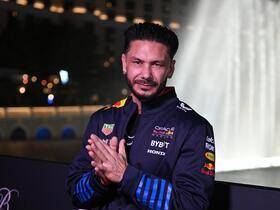 DJ Pauly D