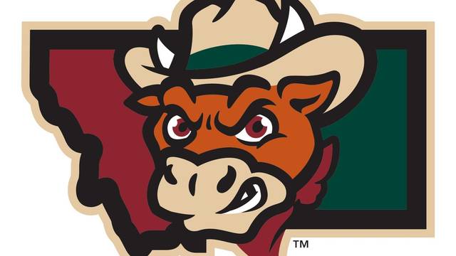 Billings Cattle Punchers vs. Idaho Falls Spud Kings