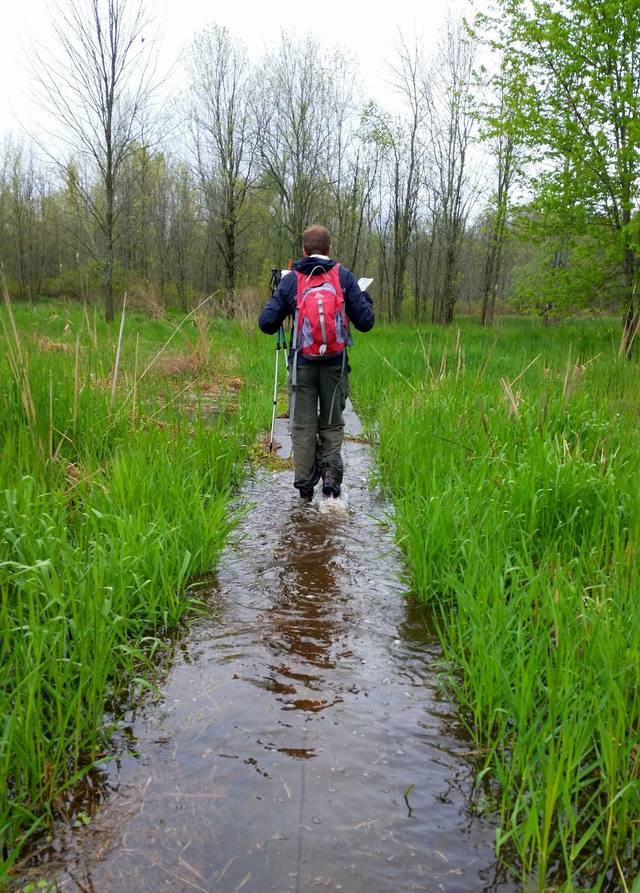 Oatka Creek Park Hike