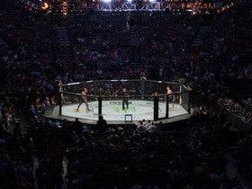 UFC 331: Van vs Pantoja 2