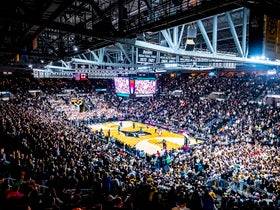 Bryant at Providence