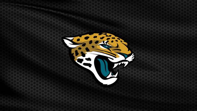 Preseason Game 1: Jacksonville Jaguars v Carolina Panthers