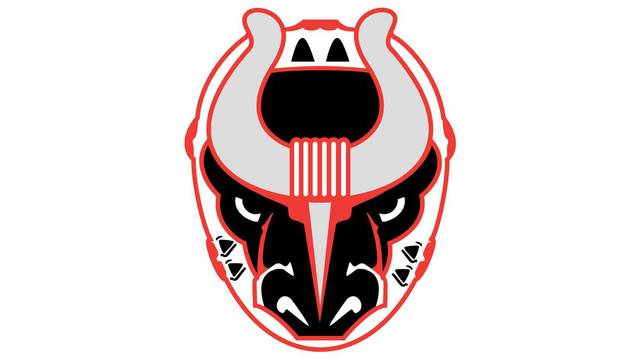 Birmingham Bulls v. Pee Dee Icecats