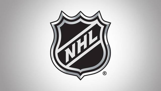 Hockey Players / Fans