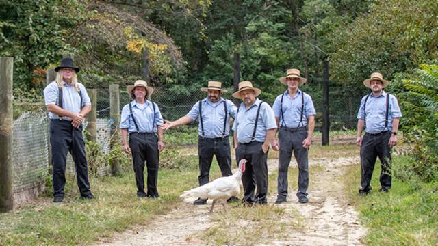 Amish Outlaws
