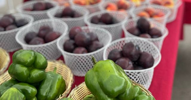 Greeley Farmers Market - September 12