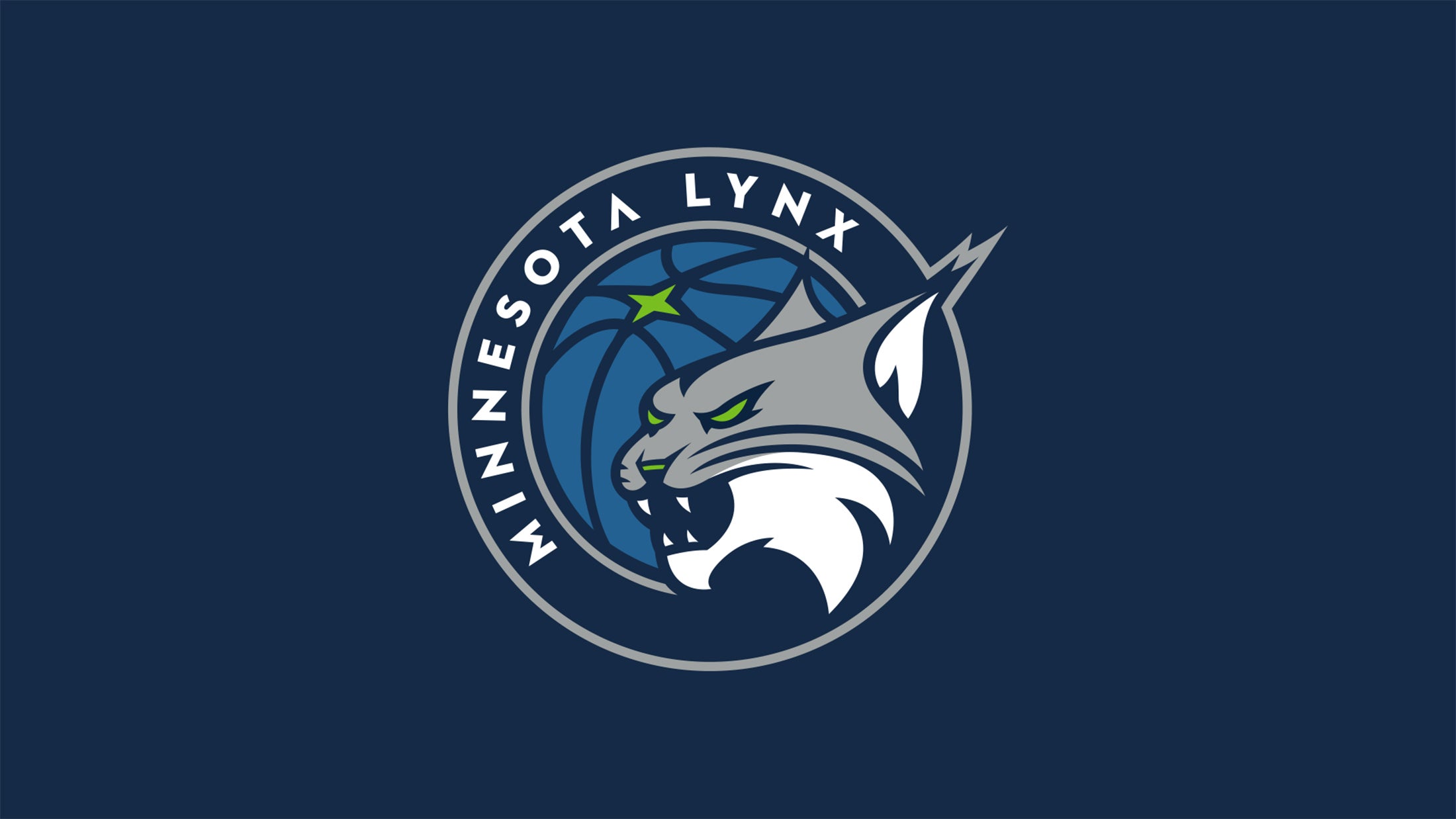Minnesota Lynx vs. Indiana Fever