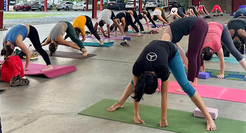 Free Yoga in the Park