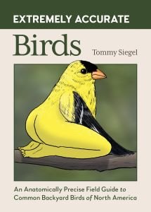 Book Launch: Extremely Accurate Birds by Tommy Siegel