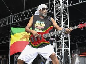 Steel Pulse