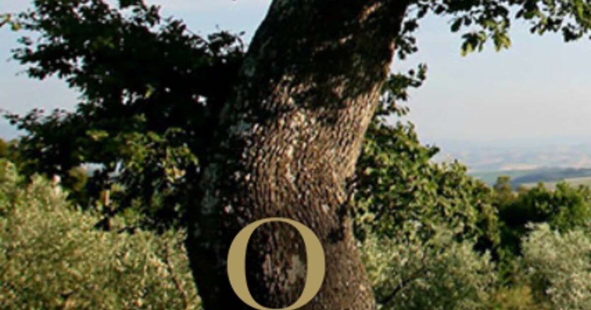 Liquid History: The Querce Bettina Brunello Retrospective