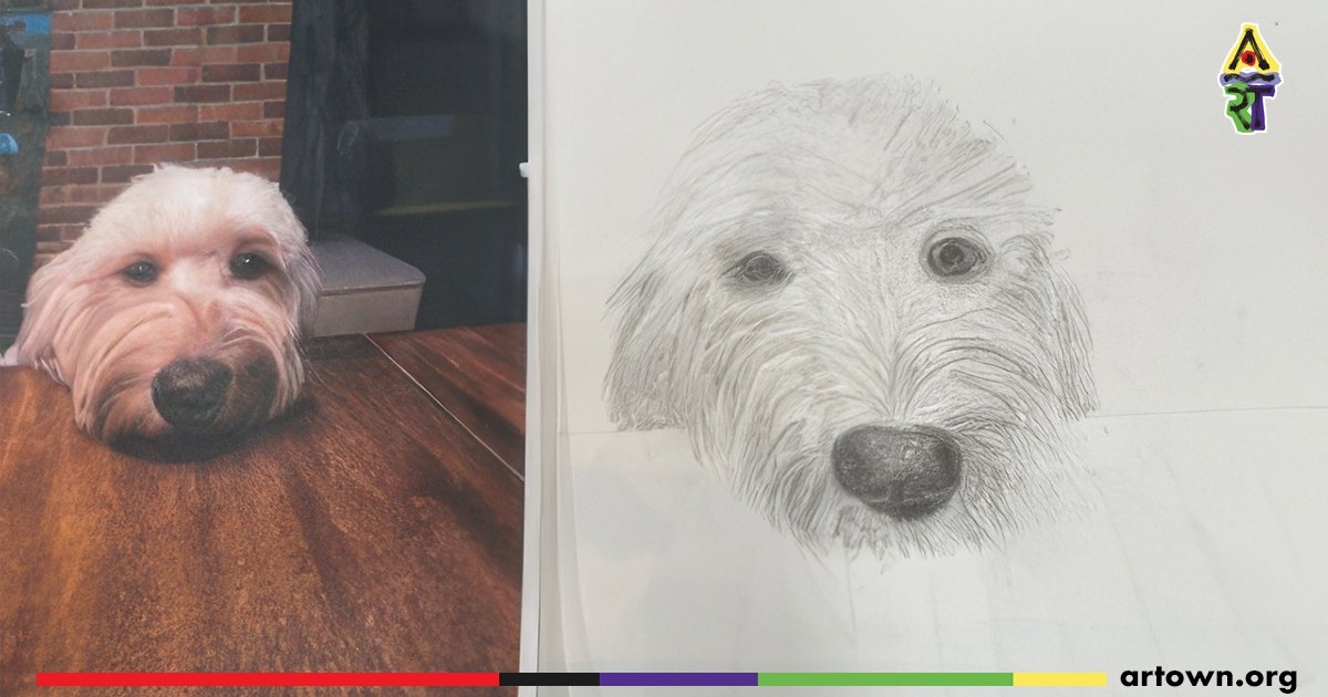 Drawing Animals for Beginners