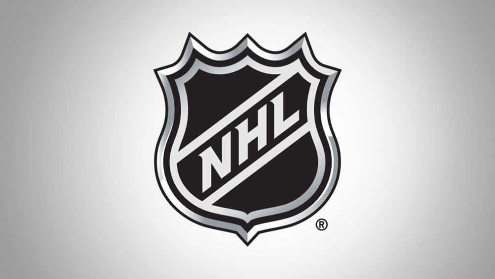 Hockey Players / Fans