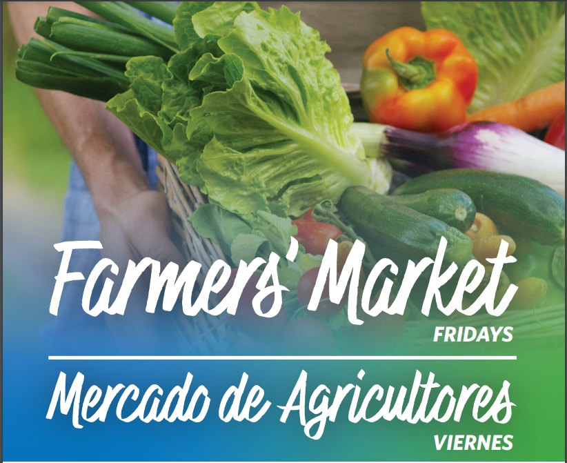 Salinas Valley Health Farmers Market