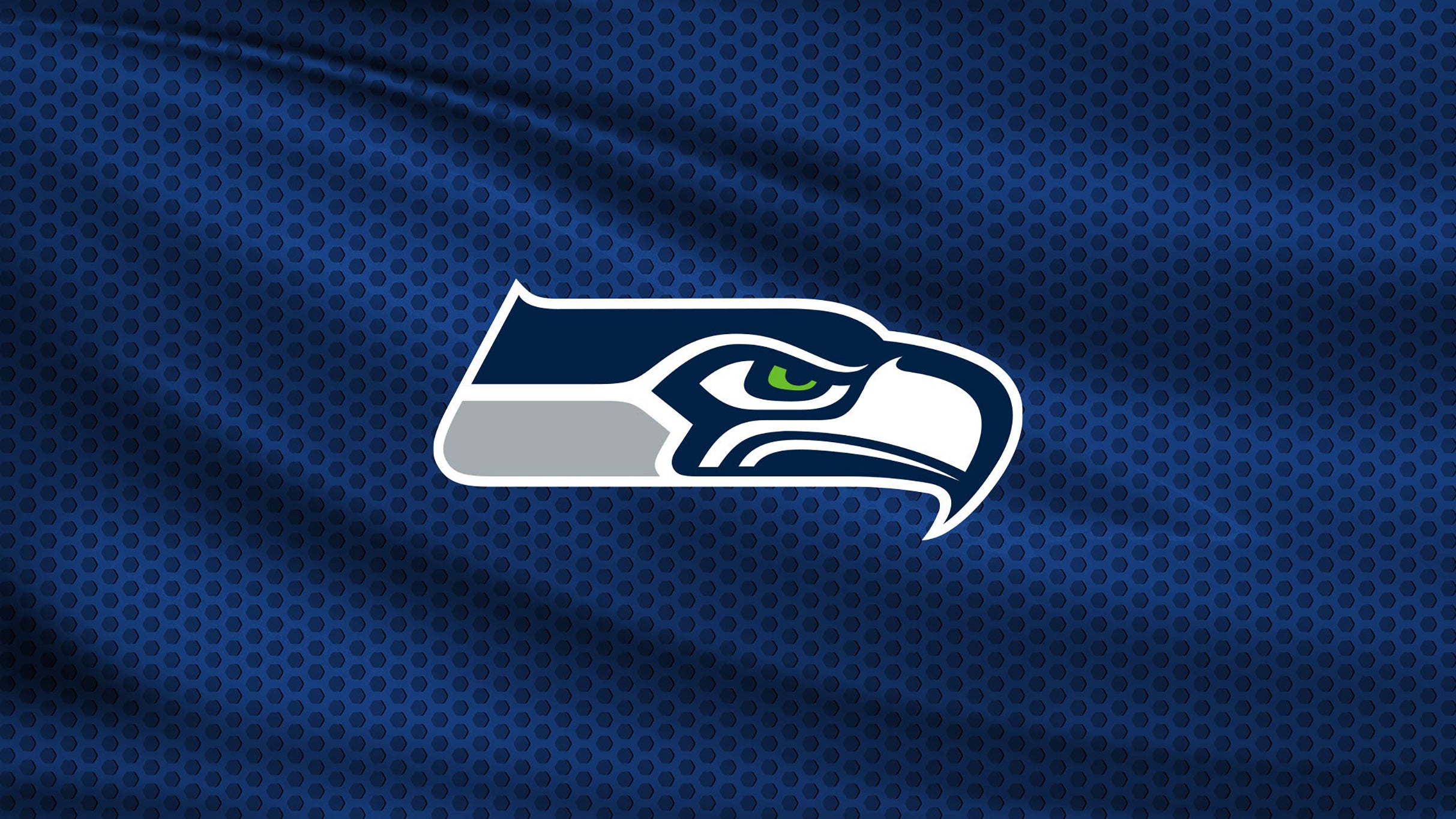 Seattle Seahawks vs. San Francisco 49ers