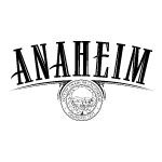 Open Gym Volleyball at East Anaheim Gymnasium