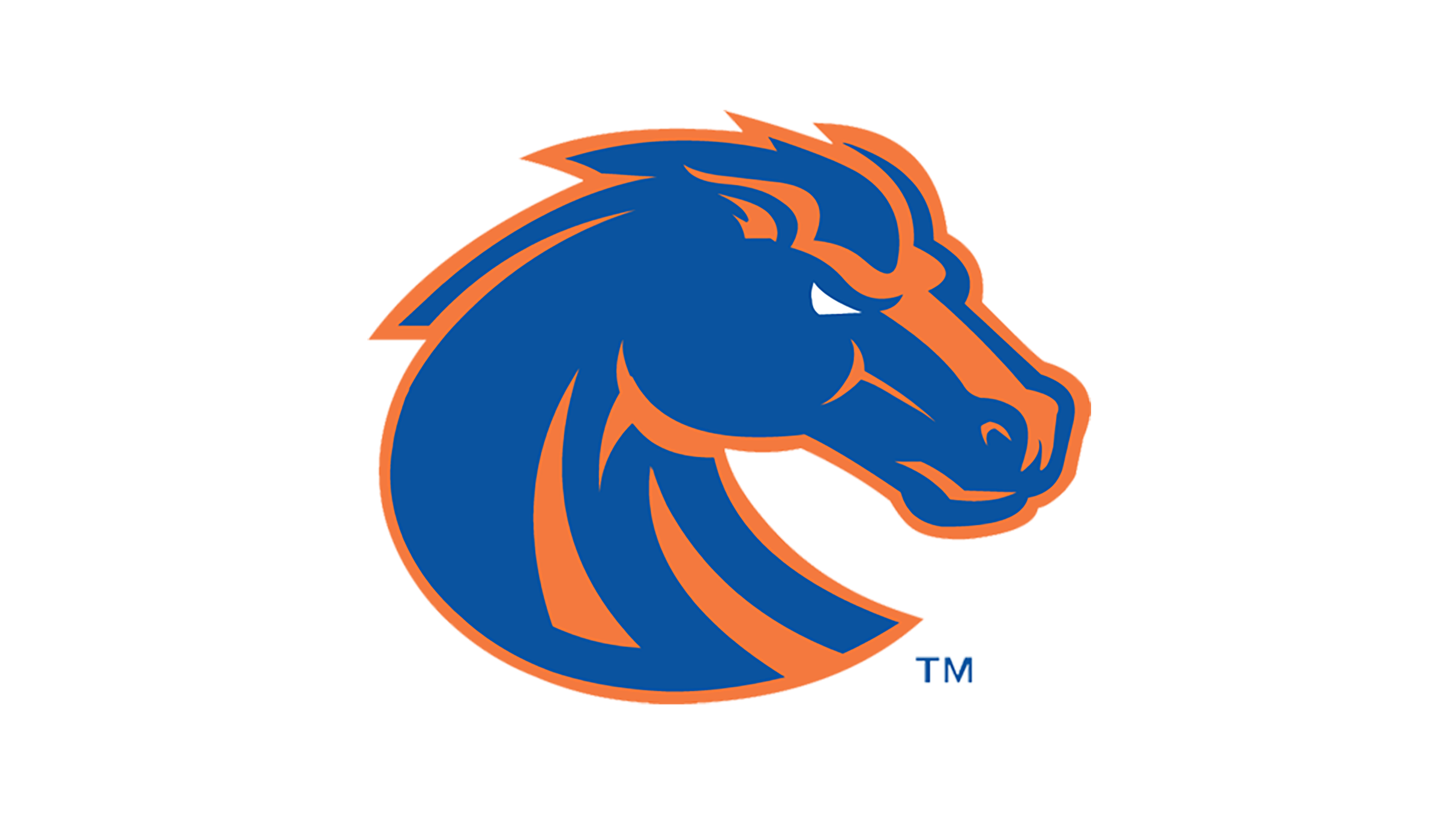 BOISE STATE UNIVERSITY VS UNIVERSITY OF IDAHO MEN'S BASKETBALL