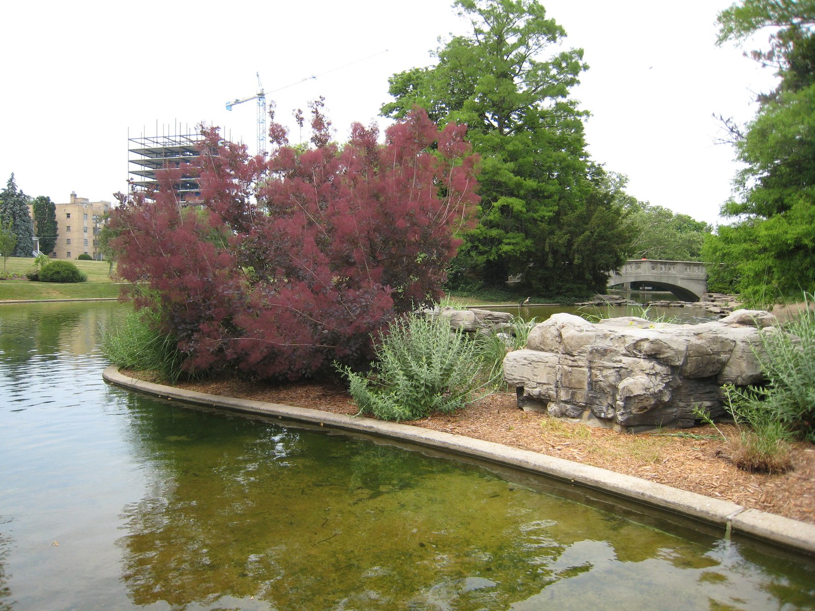 Group Hike: Eden Park (Hiking)