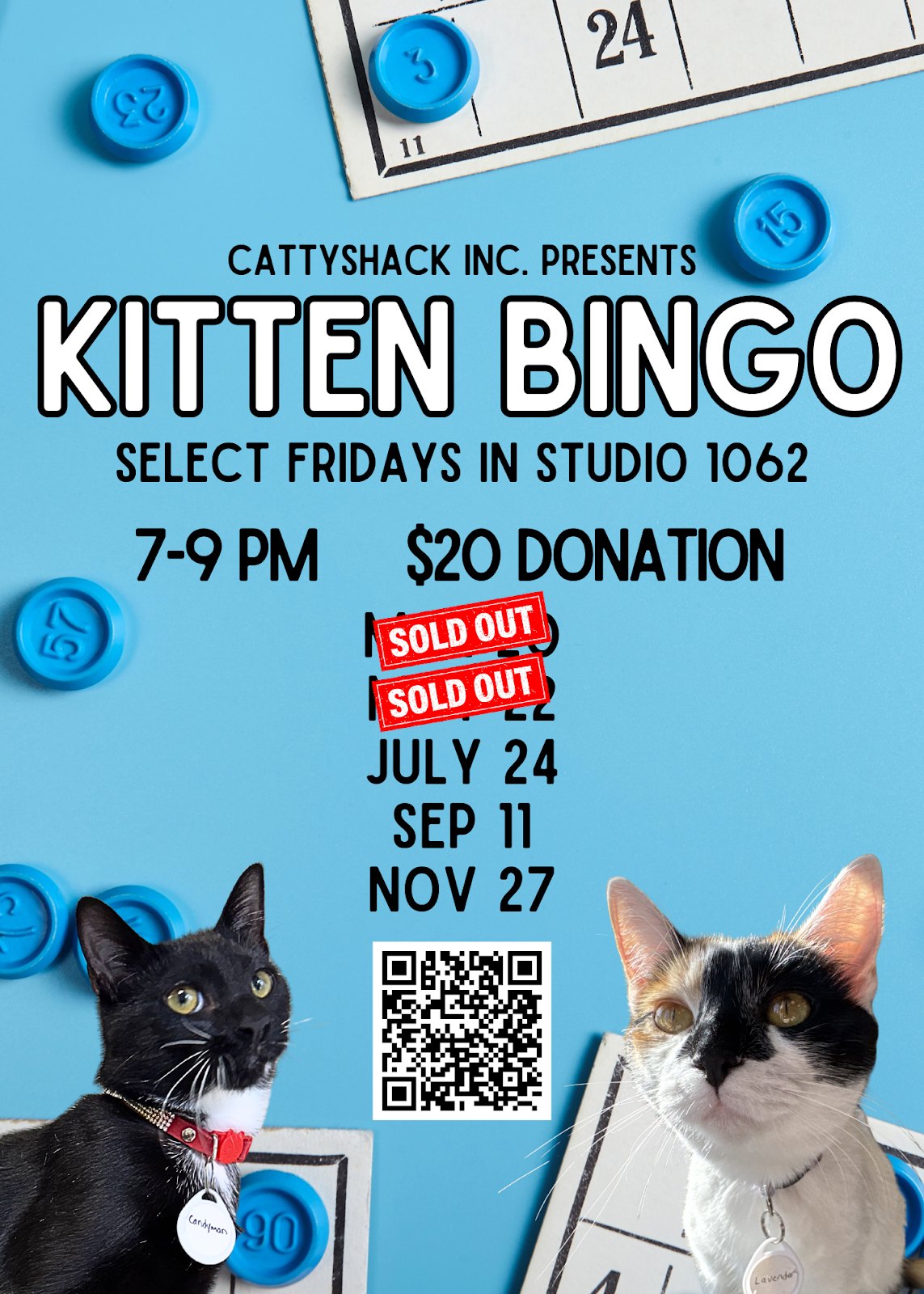 Kitten Bingo