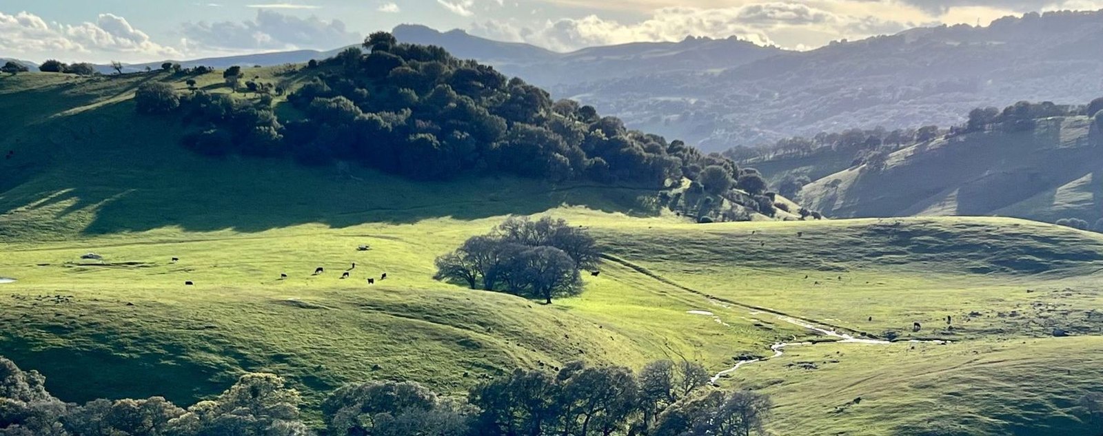 Nature Hike at Patwino Worrtla Kodoi Dihi Open Space Park
